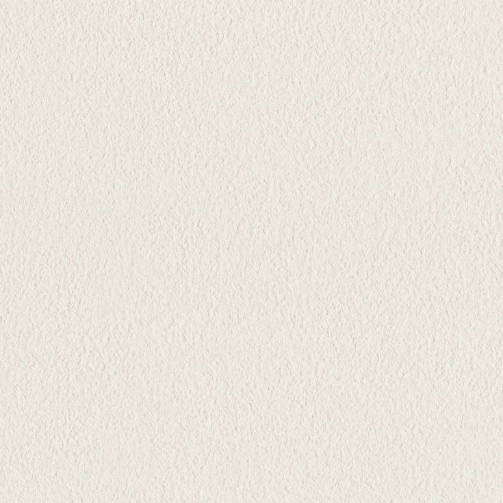 チップ画像