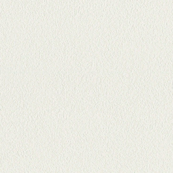 チップ画像