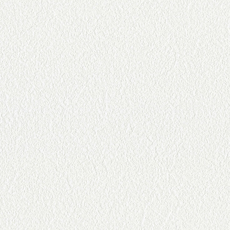 チップ画像
