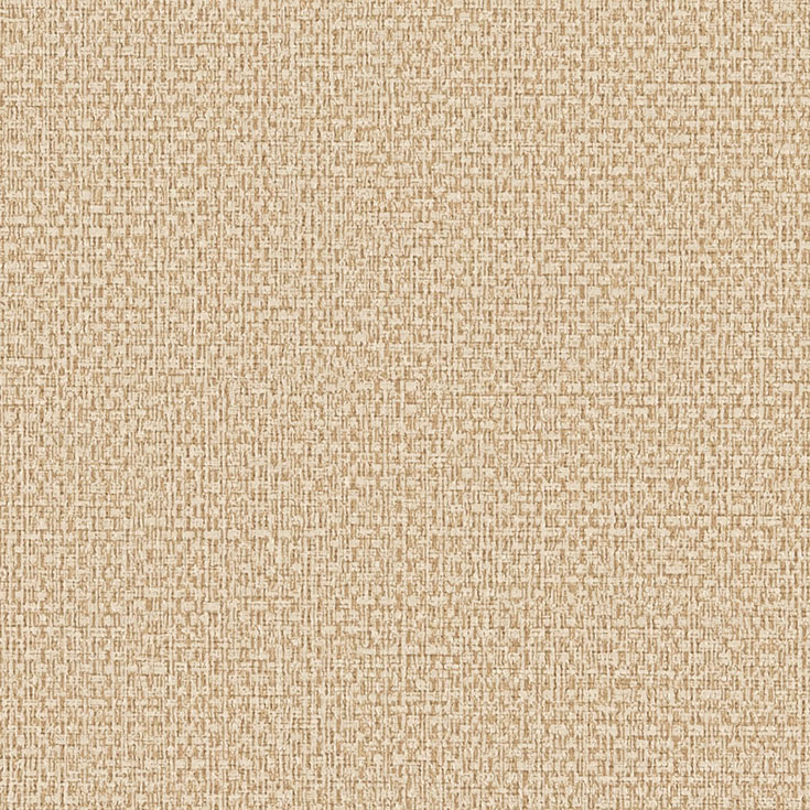 チップ画像