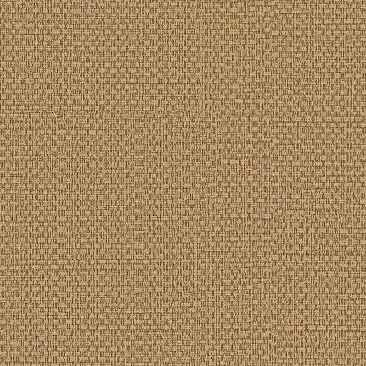 チップ画像