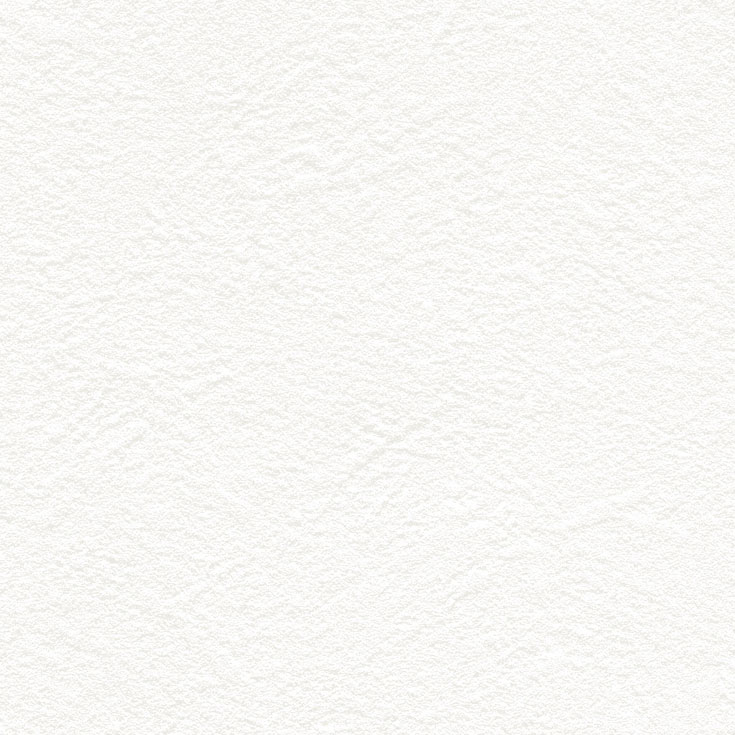 チップ画像