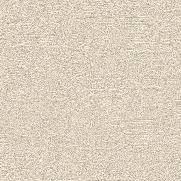 チップ画像
