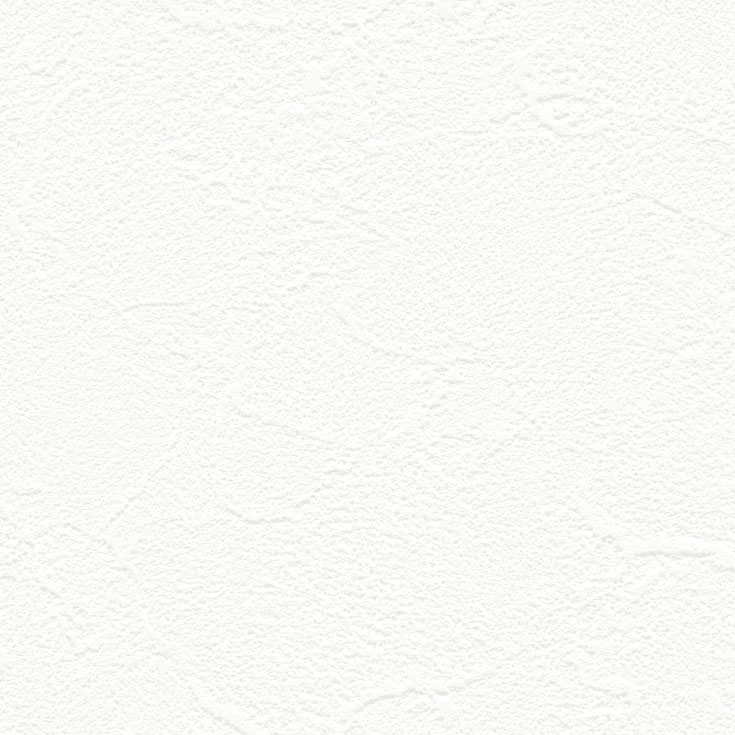 チップ画像