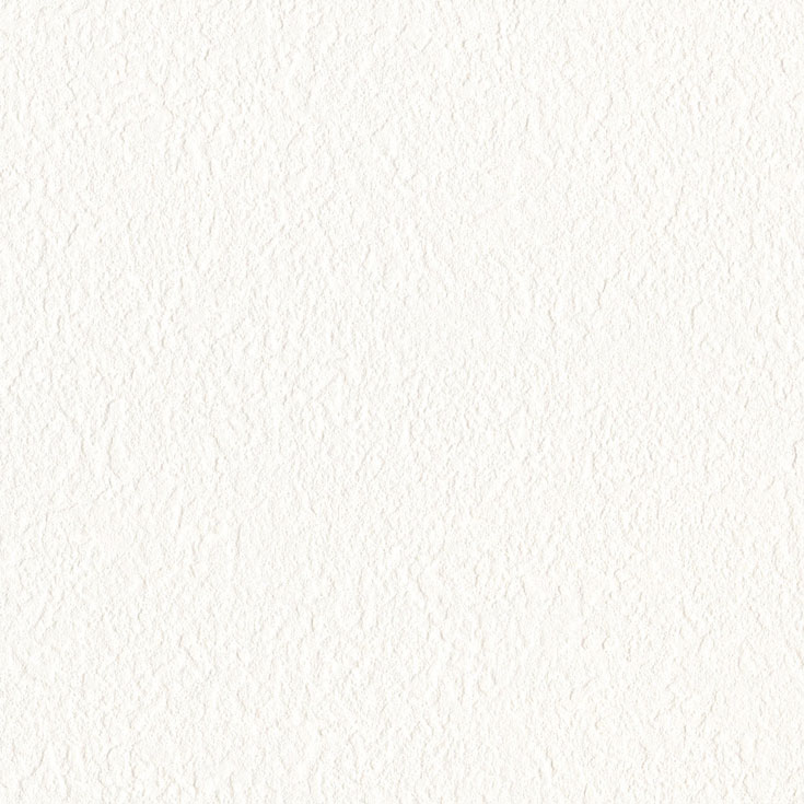 チップ画像
