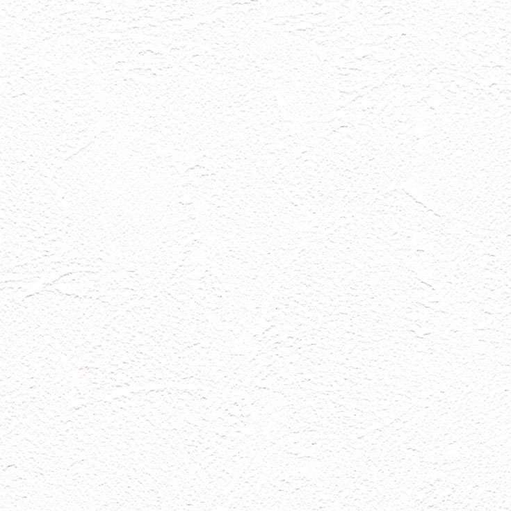 チップ画像