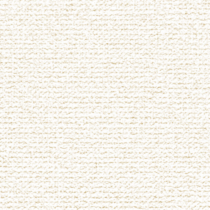 チップ画像