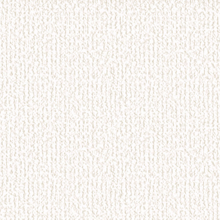 チップ画像