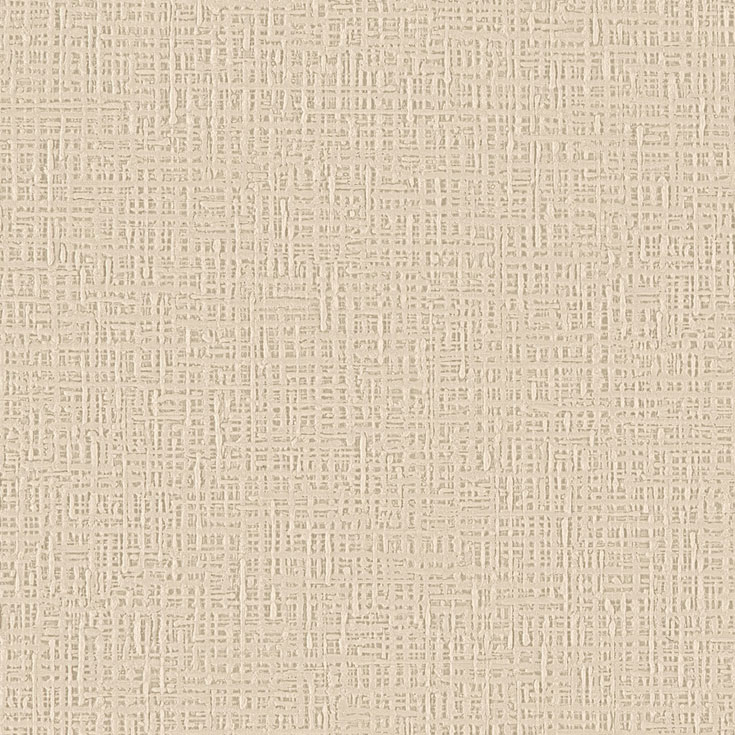 チップ画像