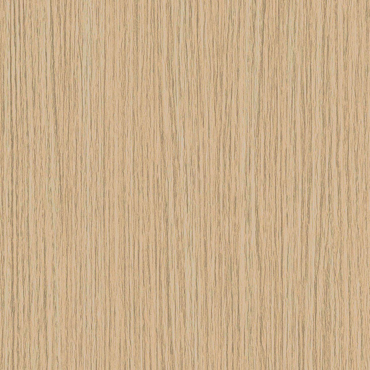 チップ画像