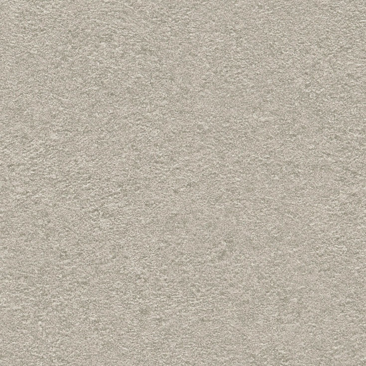 チップ画像