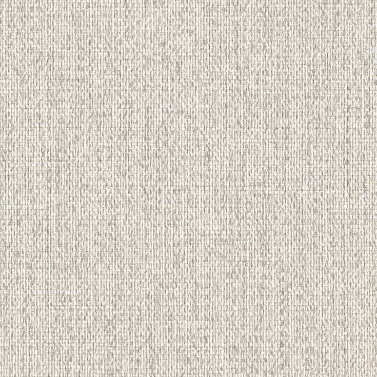 チップ画像