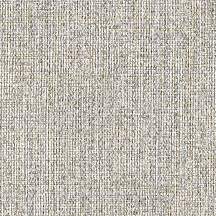 チップ画像