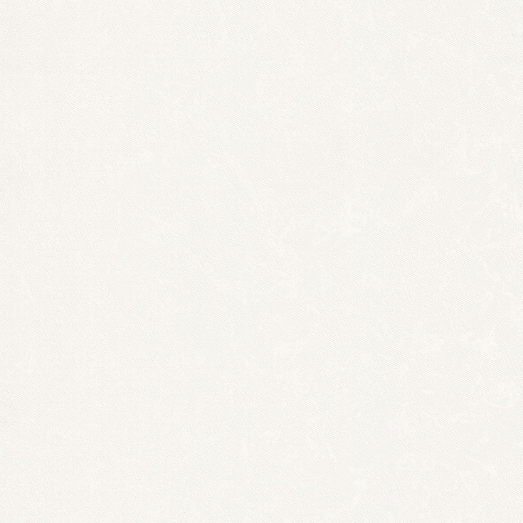 チップ画像