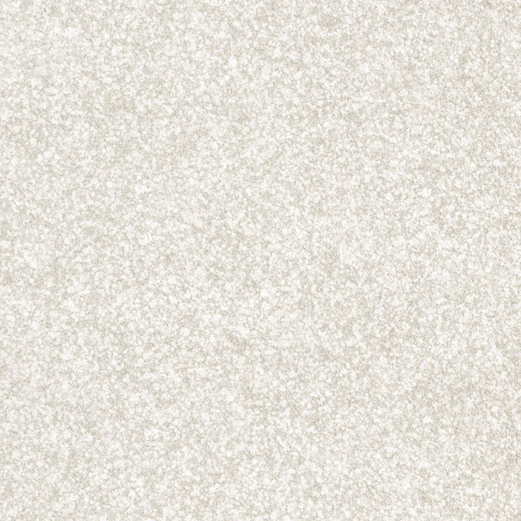 チップ画像