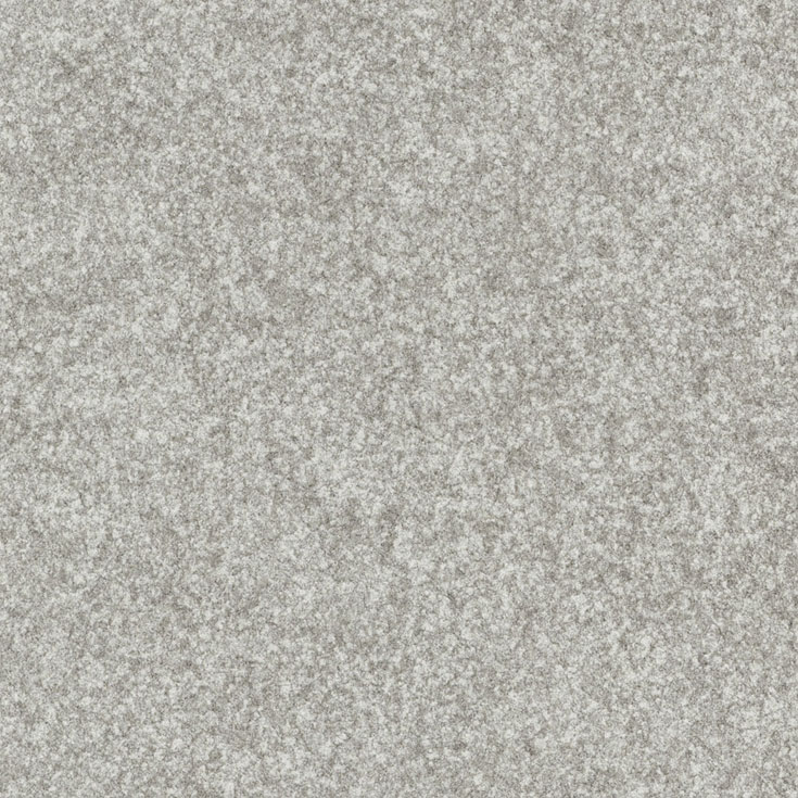 チップ画像