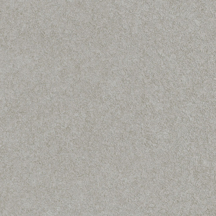 チップ画像