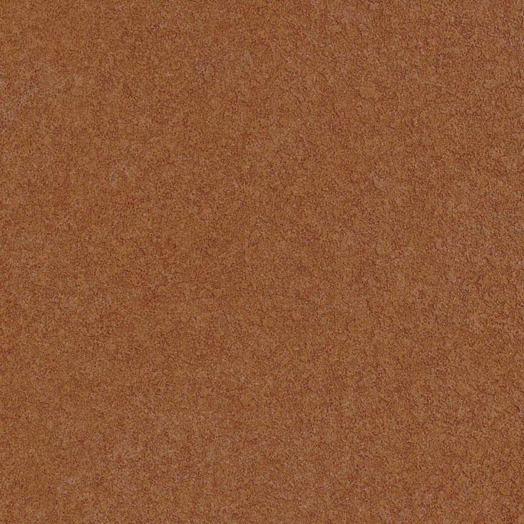 チップ画像