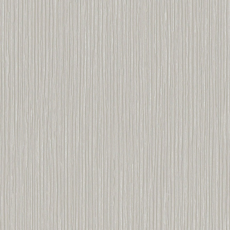チップ画像