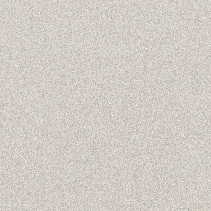 チップ画像