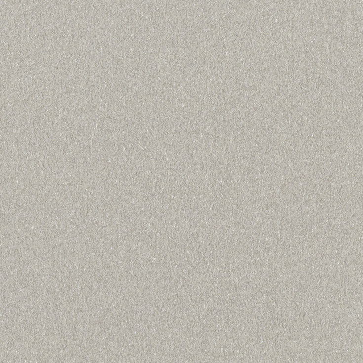 チップ画像