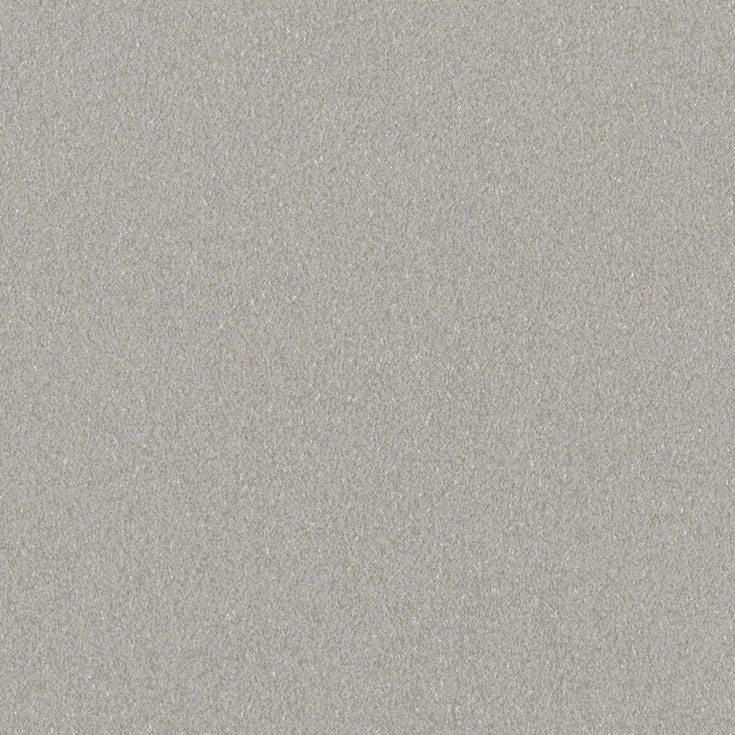 チップ画像