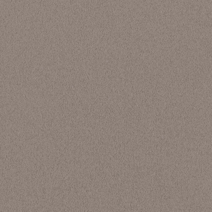 チップ画像