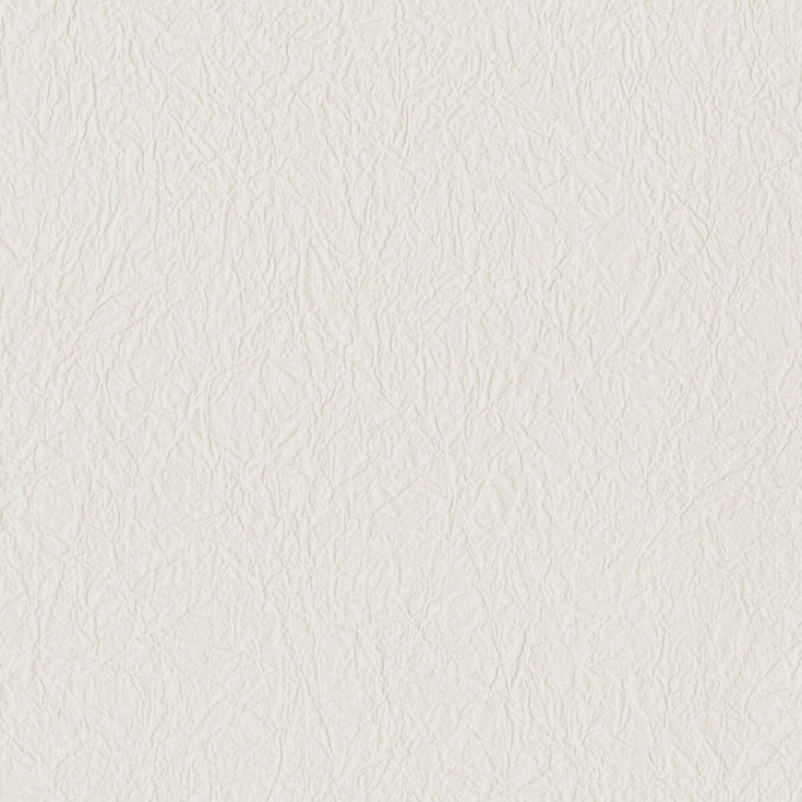 チップ画像
