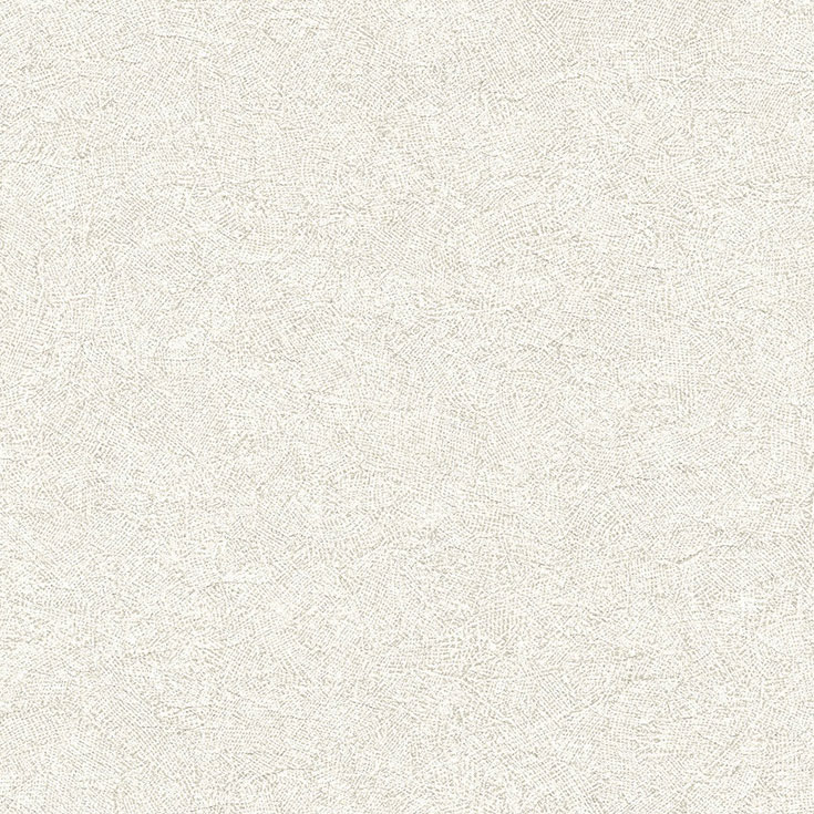 チップ画像