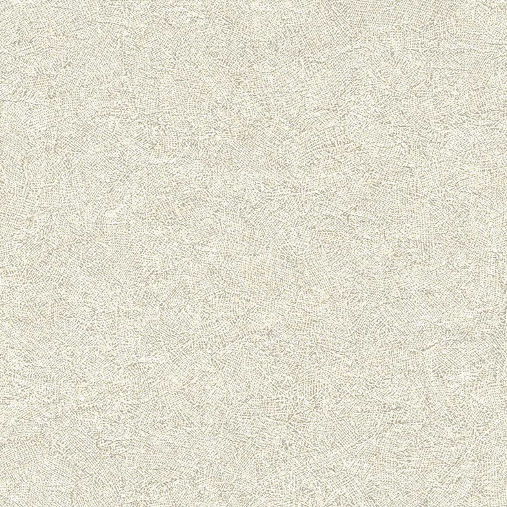 チップ画像