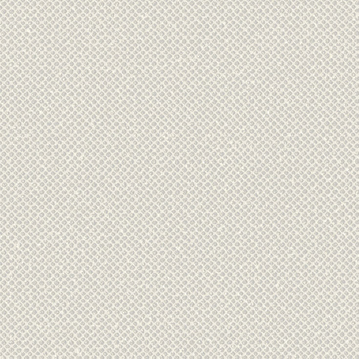 チップ画像