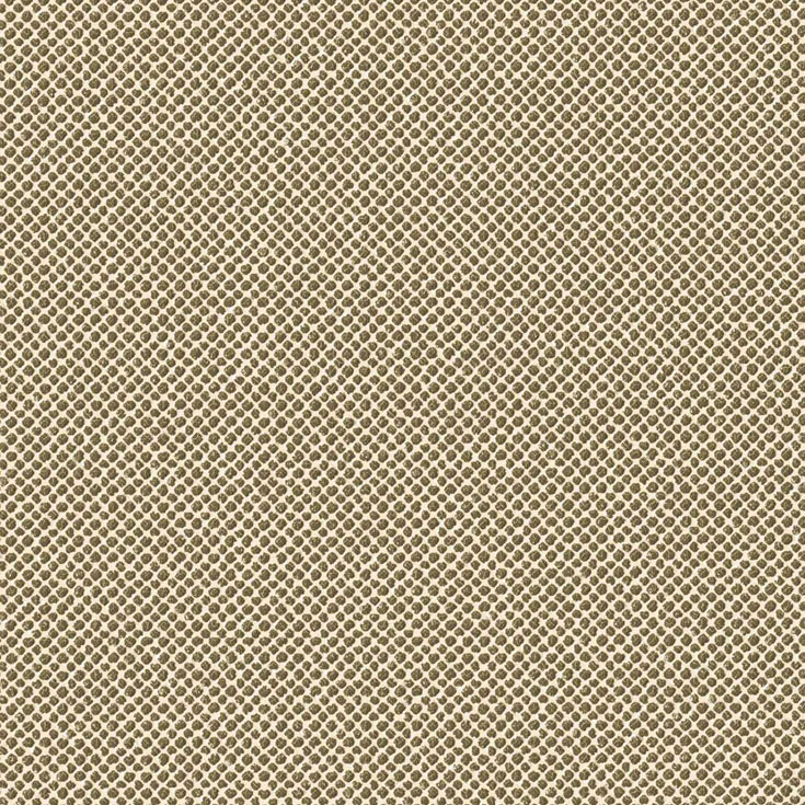 チップ画像