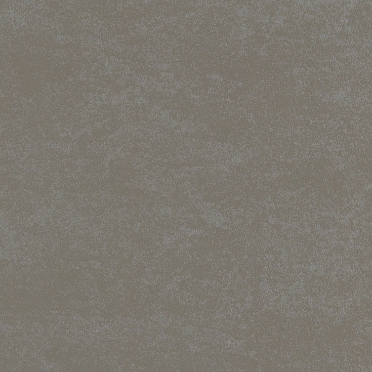 チップ画像