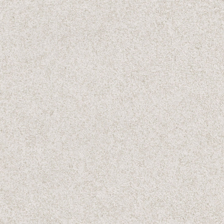 チップ画像