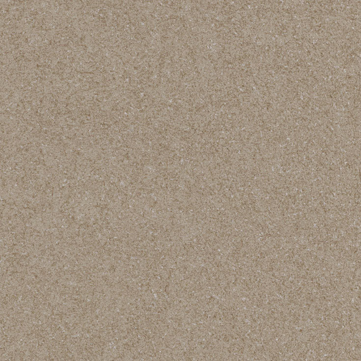 チップ画像
