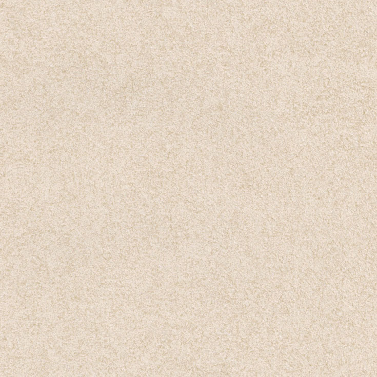 チップ画像