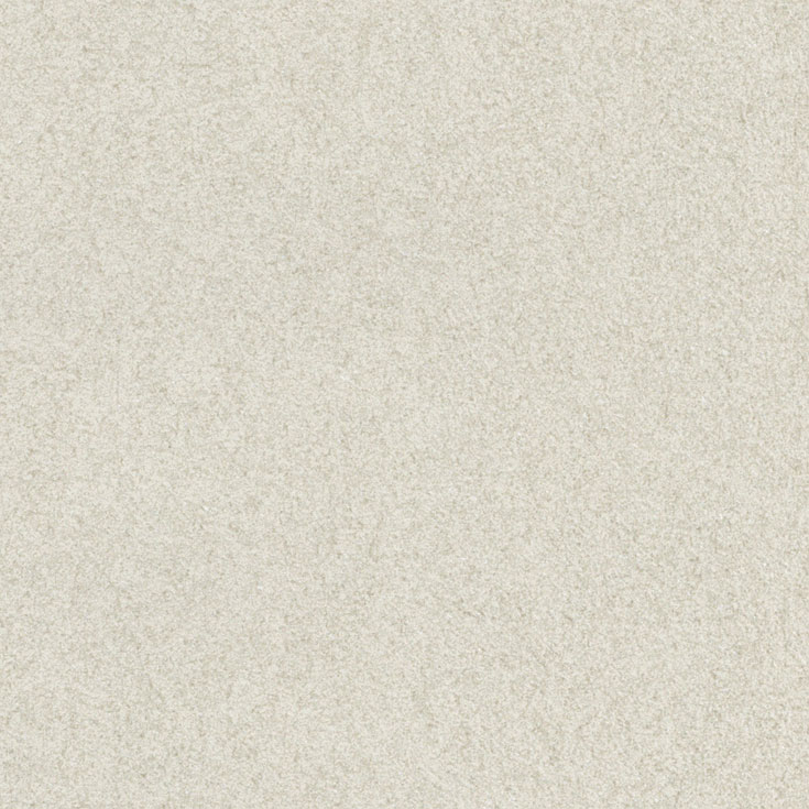 チップ画像