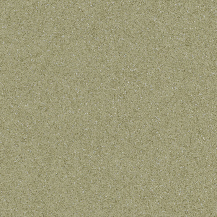 チップ画像