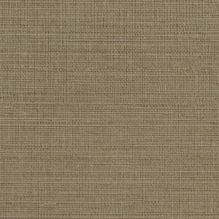 チップ画像