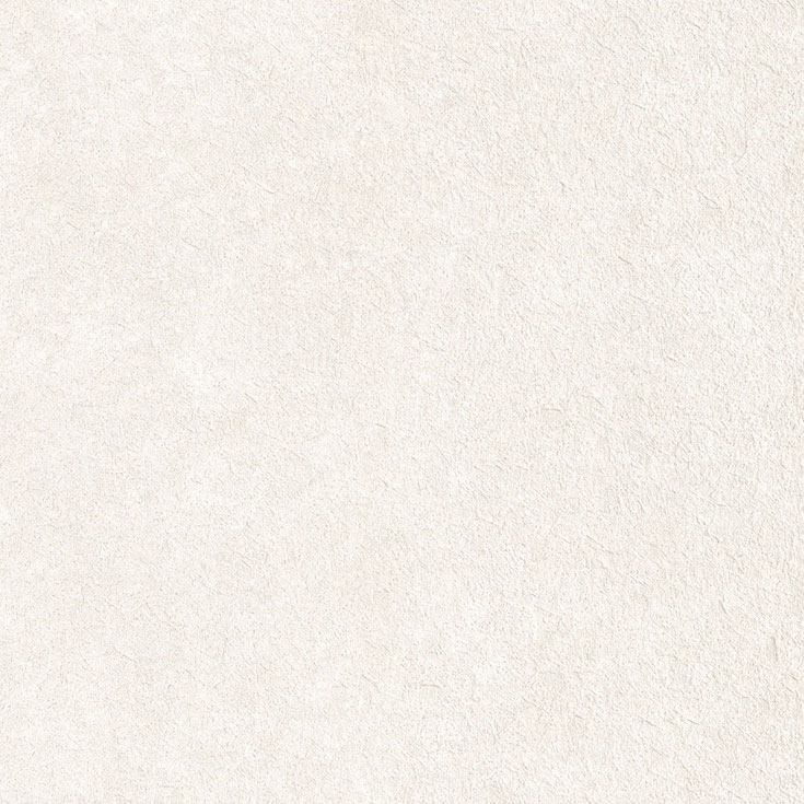 チップ画像