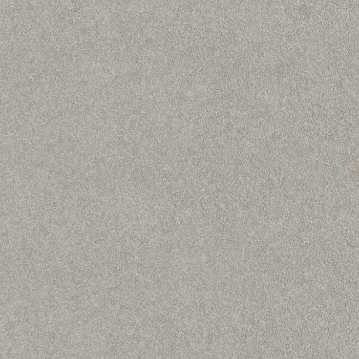 チップ画像