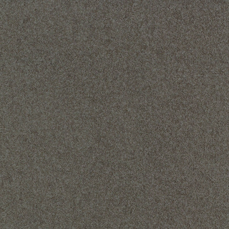 チップ画像