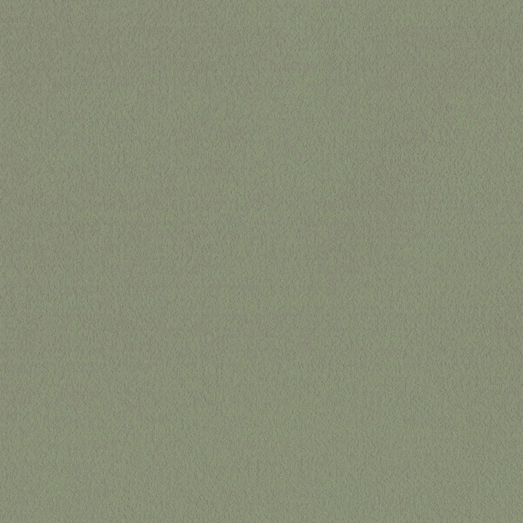 チップ画像