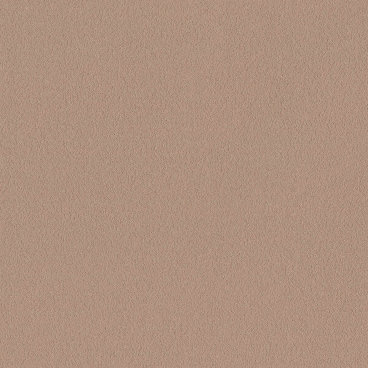 チップ画像