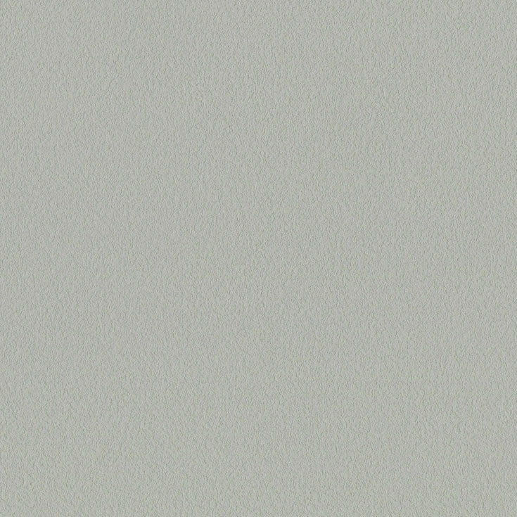 チップ画像