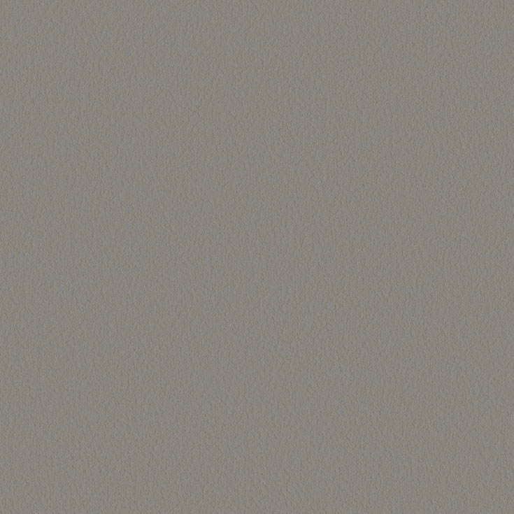 チップ画像
