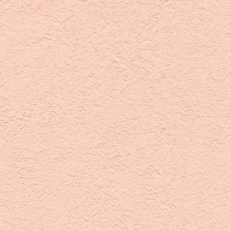 チップ画像