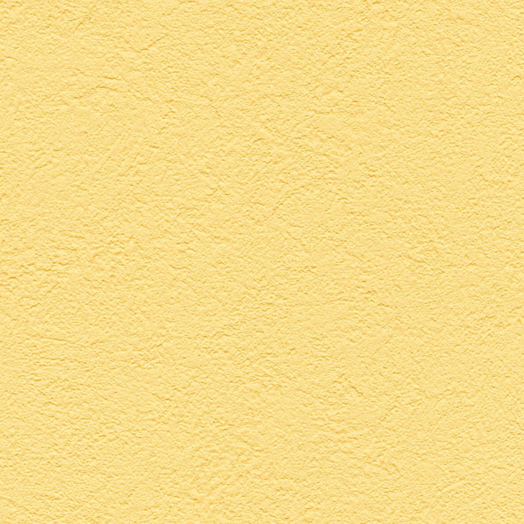 チップ画像