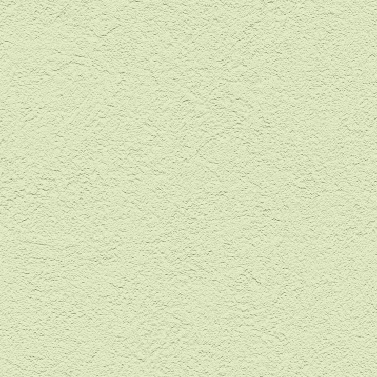チップ画像