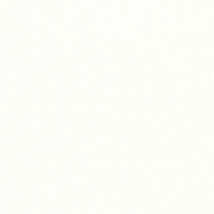 チップ画像